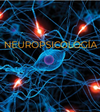 Valoración Neuropsicológica y Rehabilitación